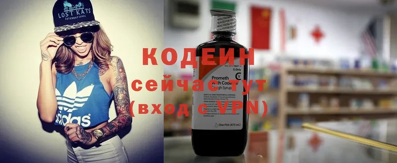 Кодеиновый сироп Lean Purple Drank  продажа наркотиков  Ардатов 